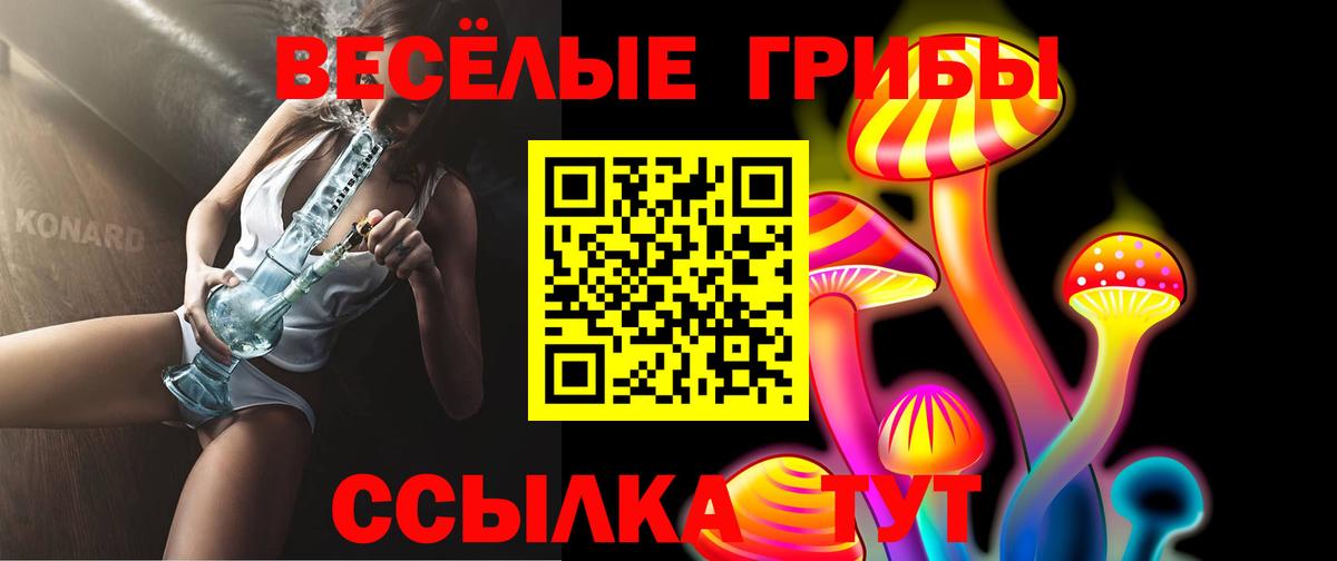Чебоксары  Псилоцибиновые грибы GOLDEN TEACHER  Вход с VPN 